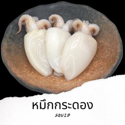 Se1 หมึกกระดอง Squid 3 ตัว