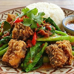 ข้าว เครื่องแกงคะน้าปลาดุกทอดกรอบ