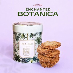 Cheddar Cheese cookie