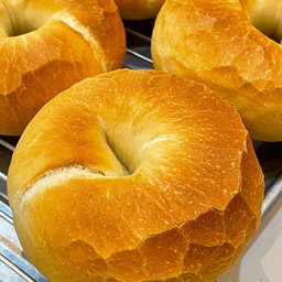 Plain Bagel