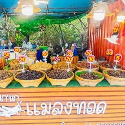 นานาแมลงทอดบางปู&กุ้งแช่น้ำปลา