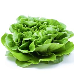 My Farm salad & Wrap -
