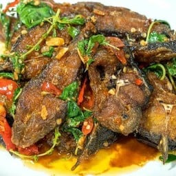 อาหารตามสั่งบ้านฝาแฝด @ ส้มตำยำแซ่บไร่กล้วยหน้าโลตัส