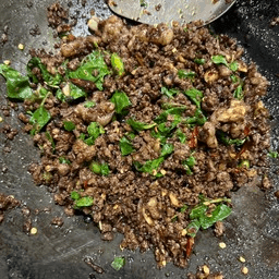 ขวัญใจใบกะเพรา