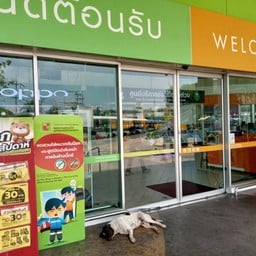 บิ๊กซี ร่มเกล้า บิ๊กซี ร่มเกล้า
