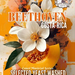 BEETHOVEN