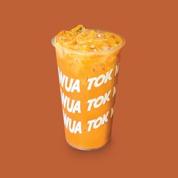ชาไทยใต้