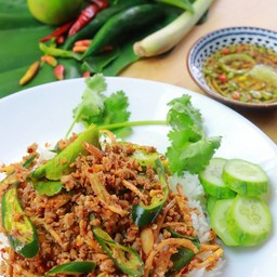 หญิงลีอาหารป่า