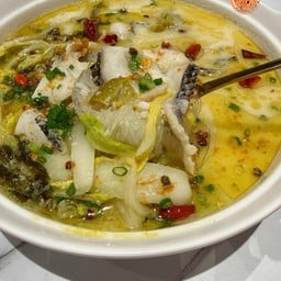 YONNY鱼你 The Mall Lifestore Ngamwongwan