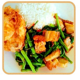 ผัดผักบุ้ง(ราดข้าว)