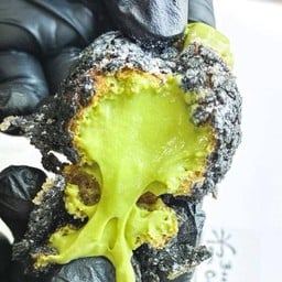 Matcha Signature Cream Puff
