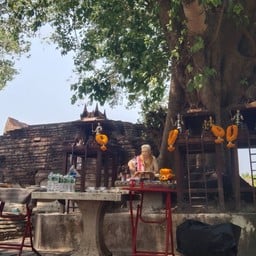 วัดกุฎีดาว