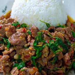 MENU_3648607xv_1774704186