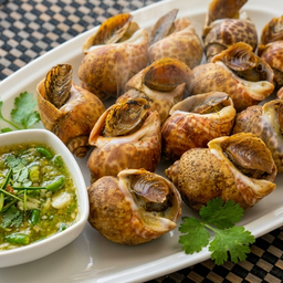 เบิร์ดทะเลเผา