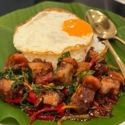 ข้าวกระเพรา ร่มเกล้า 3