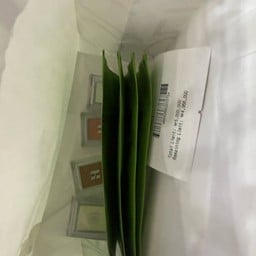 Holika Holika Myeong-dong