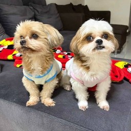 ป๊อปคอร์นเพลินเพลิน สาขาหลัก