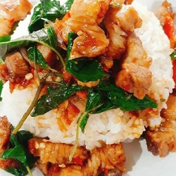ข้าวหมูกรอบผัดโหระพา