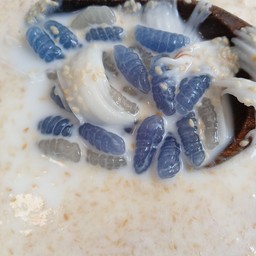 ขนมหวานบ้านสองใบ