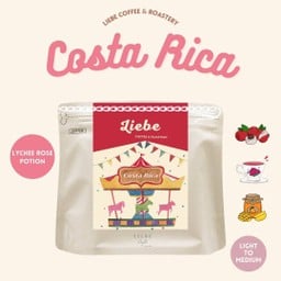 Costa Rica Ei Pilon 100 g