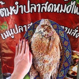 เมนูปลา และอาหารตามสั่งby คุณเฟิร์น