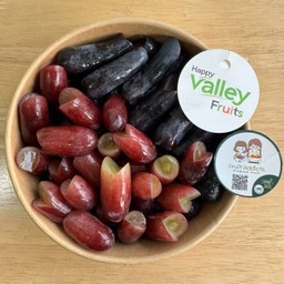 องุ่นแดงคิมสัน + ดำแม่มด ออสเตรเลีย 🇦🇺 valley พร้อมทาน