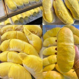 ทุเรียนณัฏฐ์ ซอย3