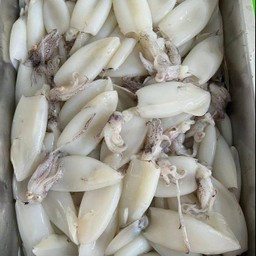 ปลาหมึกสด (100 กรัม)