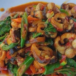 ครัวไพทรัพย์ อาหารป่า สาขา1