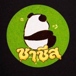 ชาชีสดิครับ