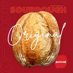 Sourdough ธรรมดา