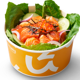Salmon Salad