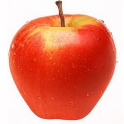 fresh fruit ผลไม้สดตามฤดูกาล🍎