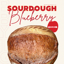 Sourdough บลูเบอรี่