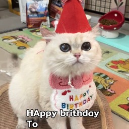 Tip HBD น้องมารีน  1 ขวบ ^^
