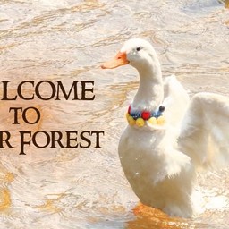 MENU_3589818xu_1775061266