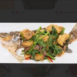 กระพงตัวผัดขึ้นช่าย