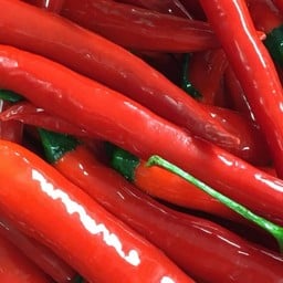 แซ่บนัว ถนนราษฎร์สามัคคี 1