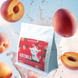 Guatemala Atitla'n @ Anaerobic Fermentation With Peach