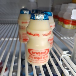 นมเปรี้ยว ยาคูลท์ 80 ml