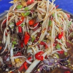 ร้านตำแชบตำนัว ยโสธร