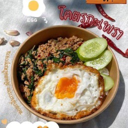 โครตกะเพรา ต้นมะม่วง