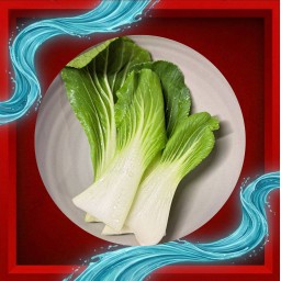 (หม่า)ล่าริมคลอง