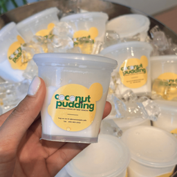 Homemade Coconut Pudding