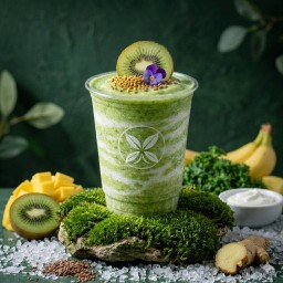 X12 Kiwi Revive