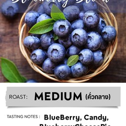 Blueberry Blend