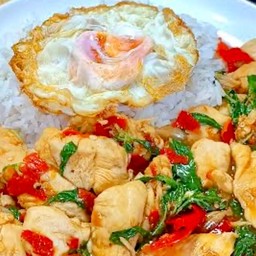 ข้าวกะเพราไก่+ไข่ดาว 1 ฟอง