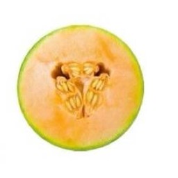 แคนตาลูป