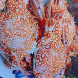 ปูม้านึ่ง
