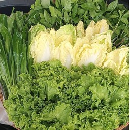 ท๊อปปลาเผา ท๊อปปลาเผาครับๆ